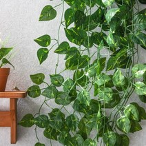 스킨답서스 조화 넝쿨 / 12p 담쟁이 벽장식 조경소품, 1개