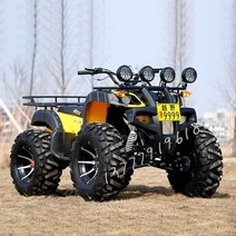 사륜 오토바이 전동차 사발이 수레 전동 바이크 4륜, 리틀 불 스탠다드 에디션