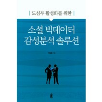 도심부 활성화를 위한 소셜 빅데이터 감성분석 솔루션, 한국학술정보