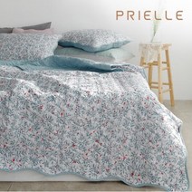 [쁘리엘르] 피오니 고주파 피치스킨 스프레드SS