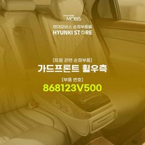 현대모비스 가드프론트 휠우측 (868123V500)