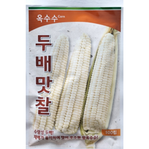 두배맛찰옥수수씨앗100립 팜한농 수량성 두배 재배가 용이하여 맛이 우수한 찰옥수수, 1개