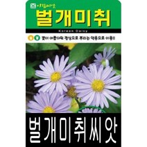 [워터트리몰] 벌개미취씨앗(500립) 채소 꽃 종자 재배 씨앗 허브 나무 (A)