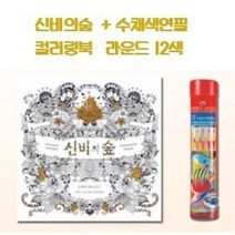 드로잉북세트 컬러링북 수채색연필 12색 신비의숲, 1개