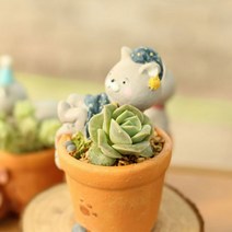 ROOGO 루고 화분 러블리캣 비몽사몽냥이