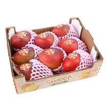 [더로얄] 현지농장 직수입 알뜰 실속형 프리미엄 브라질 애플망고 (8~10입) / 4.0kg 내외, 1개