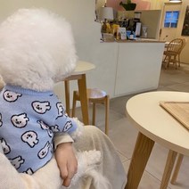 강아지스웨터 비숑 슈나우저 작은반려견 봄가을겨울 겨울가디건, XS(권장 체중 1-3kg), 하늘토끼