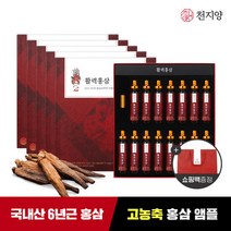 [천지양] 활력홍삼 15병 x5박스 +쇼핑백 /활력앰플, 5개, 단품