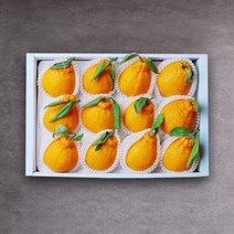 빛과나무자연속 빛가득 제주한라봉세트 3kg(9-11입/특품)