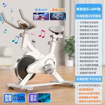 스피닝자전거 스핀바이크 헬스장 사이클 실내용 663075, 프리미엄 모델-심박수-음악-3D