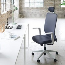 듀오백 메쉬의자 편안한 통기성 좋은 의자, 블랙