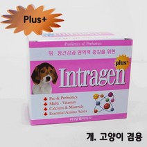 건강-드림_인트라젠 플러스(plus+) 스틱 (2gx30p) 치와와영양제 강아지종합 소형견 개영양제 애견 용유산균 완용 장건강 고양이_rjsrkdemf, 조은상품!!!!!, G-D-선택사항없습니다, G-D-선택사항없습니다