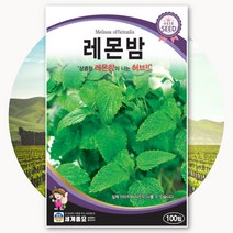 레몬밤 허브씨앗 100립 텃밭 키우기