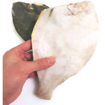 가자미 냉동 손질 생가자미 120g 영상확인, 6팩