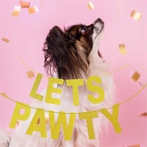 파티생각 펫 파우티 가랜드, 단품/보험 가입