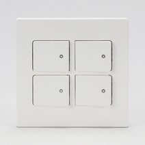 스위치(V)진흥 중4구 화이트, 단품