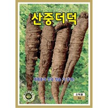 [OK씨앗] [산중더덕] 더덕씨앗 종자(오케이씨앗), 3g