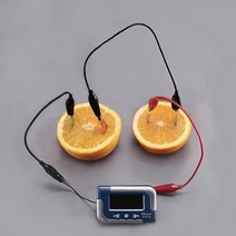 과일전지 만들기(1인세트)(디지털시계)