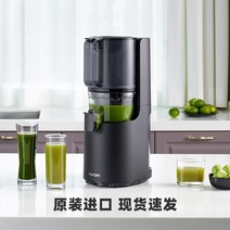 배즙 짜는 기계 녹즙 양파즙 원액기 착즙기, 블랙