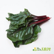 [프레시팜] 엽채류 쌈채소 적근대 2kg 내외