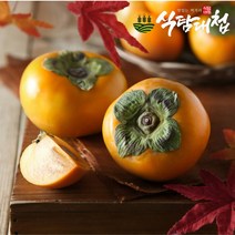 식탐대첩 국내산 단감 2kg (상특품 9~12과), 단품