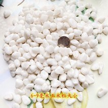 야광 조경돌 어항 정원 꾸미기 조경 자갈 천연 작은 돌 비 꽃 흰색 화분 화분에 심은 즙이 많은 장식 포장, 500g, 6-9mm