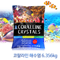 해수염 코랄라인 해수어 니모 블루탱 바다물고기 해수어 키우기 6.356KG, 해수염 6.356KG