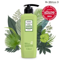 닥터윌리엄제이 더마 시카 그린티 쿨 샴푸 500ml 지성두피용 쿨샴푸, 1개