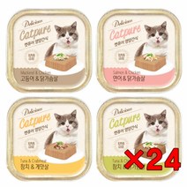 24개 캣퓨어 영양간식 사각 길고양이캔 100g, 고등어닭가슴살