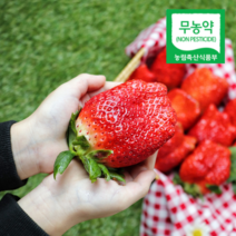 복숭아향 논산 킹스베리 딸기 명품 제철 선물용, 04. 왕특 2팩(16~20구) / 순차배송