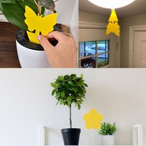 해충방제 전문 가정용 화분 뿌리파리퇴치 파리끈끈이, 플라워트랩5+꽂이5