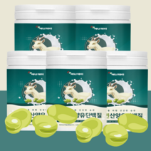 파바빈 잠두콩 잠두 누에콩 산양유 단백질 분말 230g, 5개, 5개