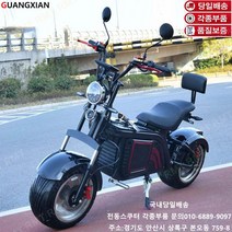 알엠티 최신형 유럽바이크 KC인증 할리 전동스쿠터 플러스 업그레이트 엑스프로 RMT-QN24, 레드