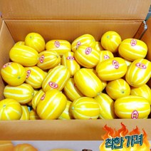 못난이참외 성주참외 상주참외 성주 10kg, 가정용꼬마과(55ㅡ90과)