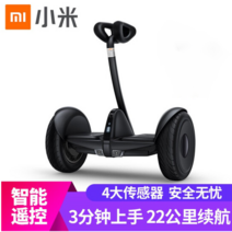 XIAOMI NineBot Plus 샤오미 나인봇 미니 플러스, [패키지1] 블랙 54v