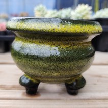 원형 컬러 4종 다육이 화분, 3번-옐로우