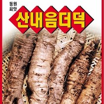 [가람종묘사] 산내음더덕 씨앗(향이 좋고 건강에 좋은 토종 더덕 품종)