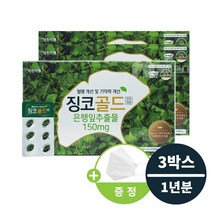 영진약품 징코골드 집중력 기억력 높이는 뇌 뇌기능 영양제 (KF94 마스크 증정) 머리 좋아지는 혈액 정맥 혈행 혈관 순환 손발저림 개선제 천연 은행잎 식약처 인증 건강기능식품, 120캡슐 x 3개(1년분)