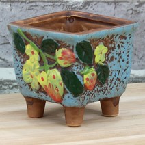 컬러 딸기 화분 - 다육이 다육 화분세트 선인장 미니화분 인테리어화분 홈카페 사무실 거실화분 예쁜화분 가드닝 소품