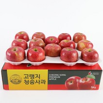 청송사과 정품 사과 중량별 크기별 부사 사과 고랭지사과, 정품 소과 5kg(19-22과), 1개