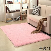 침실 카펫 발코니 서재 퇴창 거실 바닥 매트