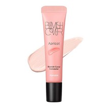 한스킨 Hanskin 살구 블레미쉬 커버 다크 서클 풀 커버리지 컬러 보정 컨실러 [살구 9g], Apricot