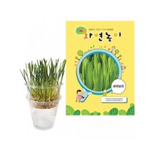 자연놀이 새싹보리 키우기 풀세트 관찰일지 이름표 기르기