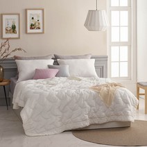 박홍근 AK수원점 박홍근 쟈뎅 뱀부 리플 이불베개세트Q