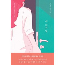 세 개의 빛 : 제11회 제주4 3평화문학상 수상작, 도서