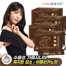 홀리데이즈 쑤욱빼 다이어트 커피맛 28포 x 4박스
