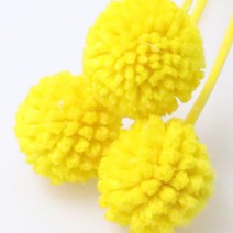 앨리플라워 프리저브드 소량 판매 드라이플라워 디퓨져만들기, 6-10골든볼 옐로우