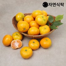 자연식탁 제주직송 극조생 노지감귤 4.5kg 사이즈별, 노지감귤 4.5kg 꼬마소과