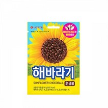 프리미엄 해바라기 초코볼 80g
