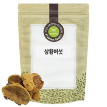 상황버섯 500g 중국산, 1개
